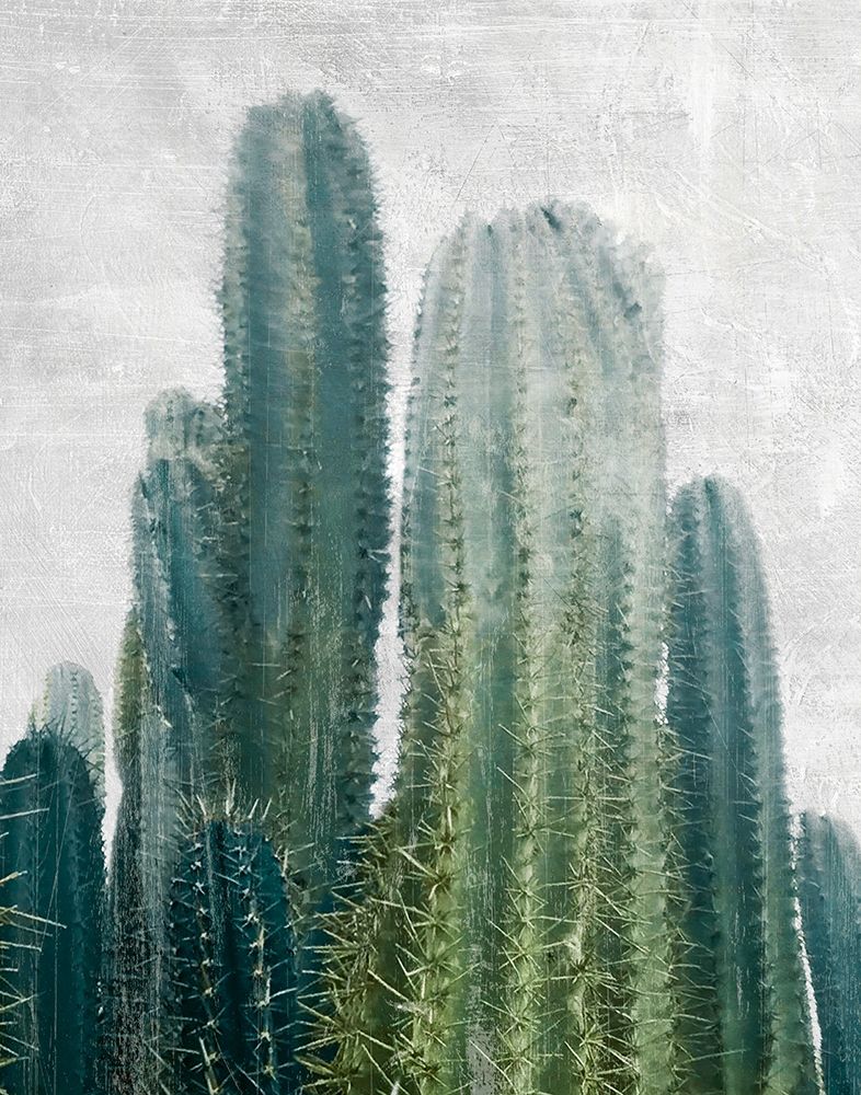 Aruba Cacti art print by Natalie Carpentieri for $57.95 CAD