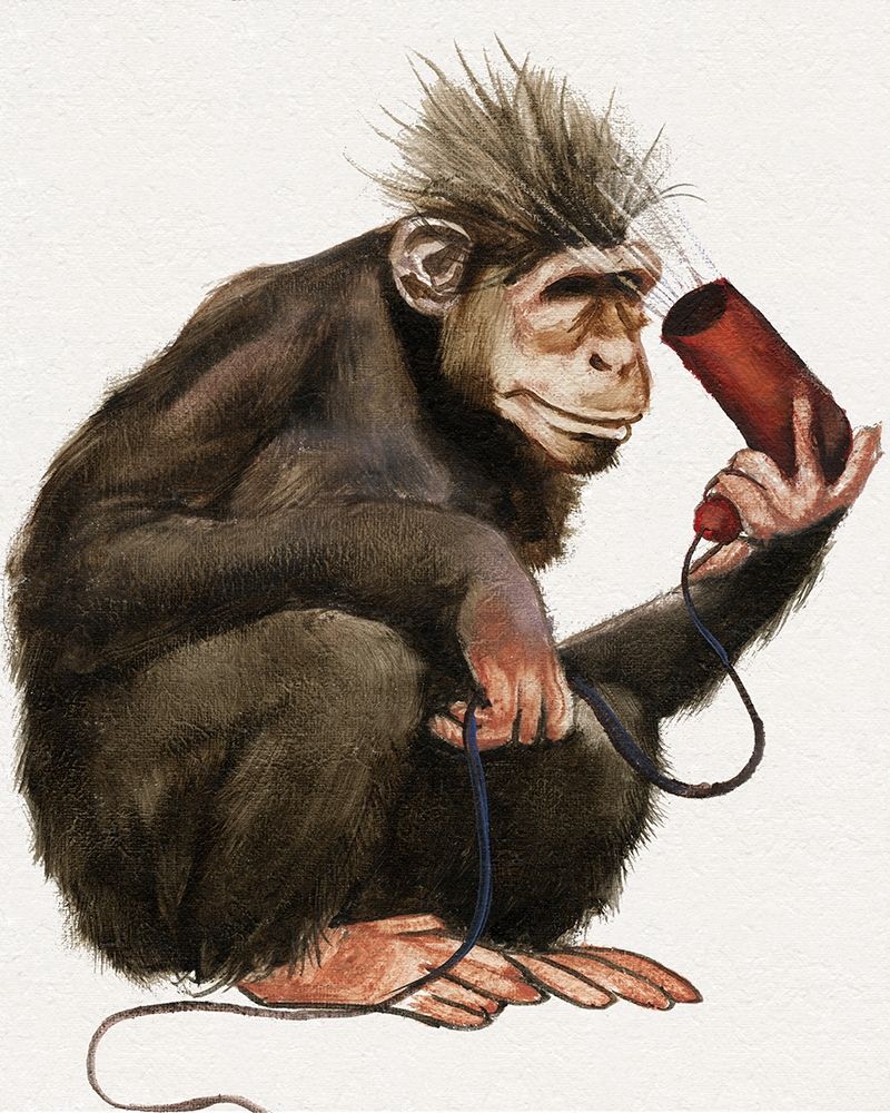 Bath Animals I art print by Donna Brooks for $57.95 CAD