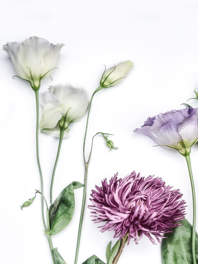 Moderne Jardin II art print by Irene Weisz for $57.95 CAD