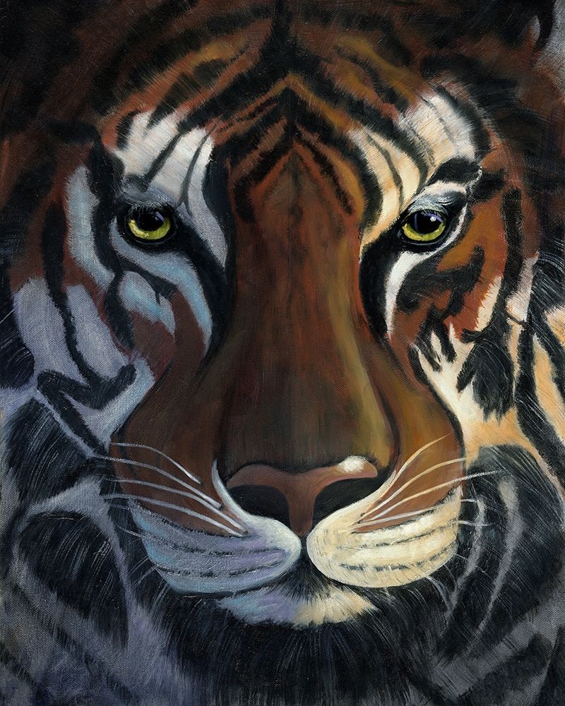 Tiger Stare art print by Jan Cole for $57.95 CAD