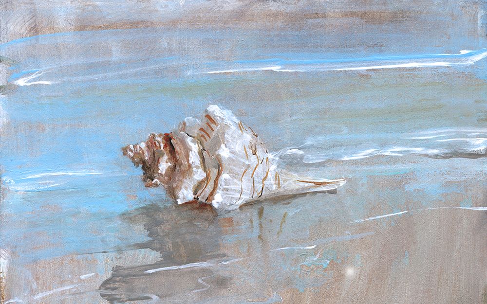 Shore Shell I art print by Sally Swatland for $57.95 CAD