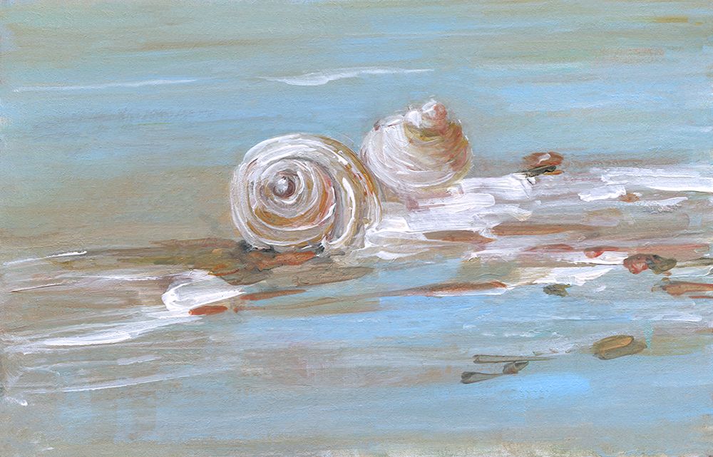 Shore Shell II art print by Sally Swatland for $57.95 CAD