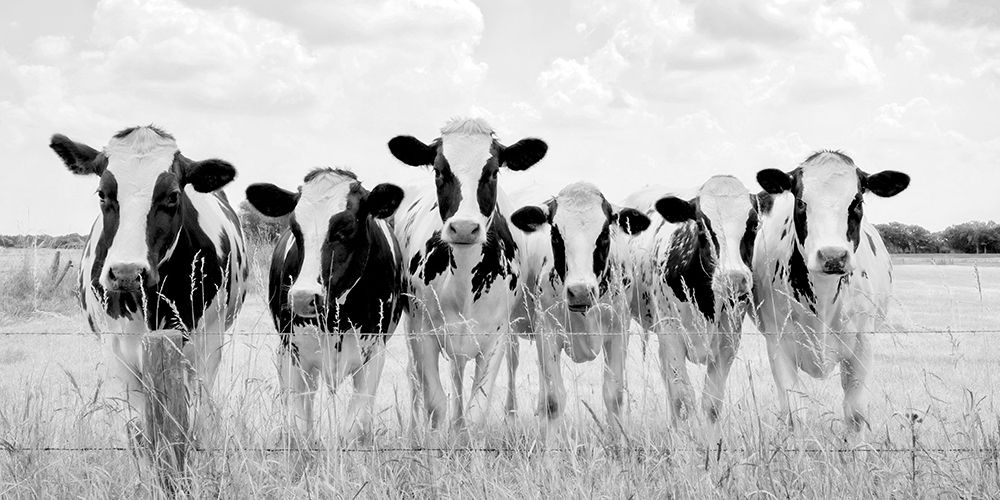 Grazing Pasture art print by Lars Van de Goor for $57.95 CAD