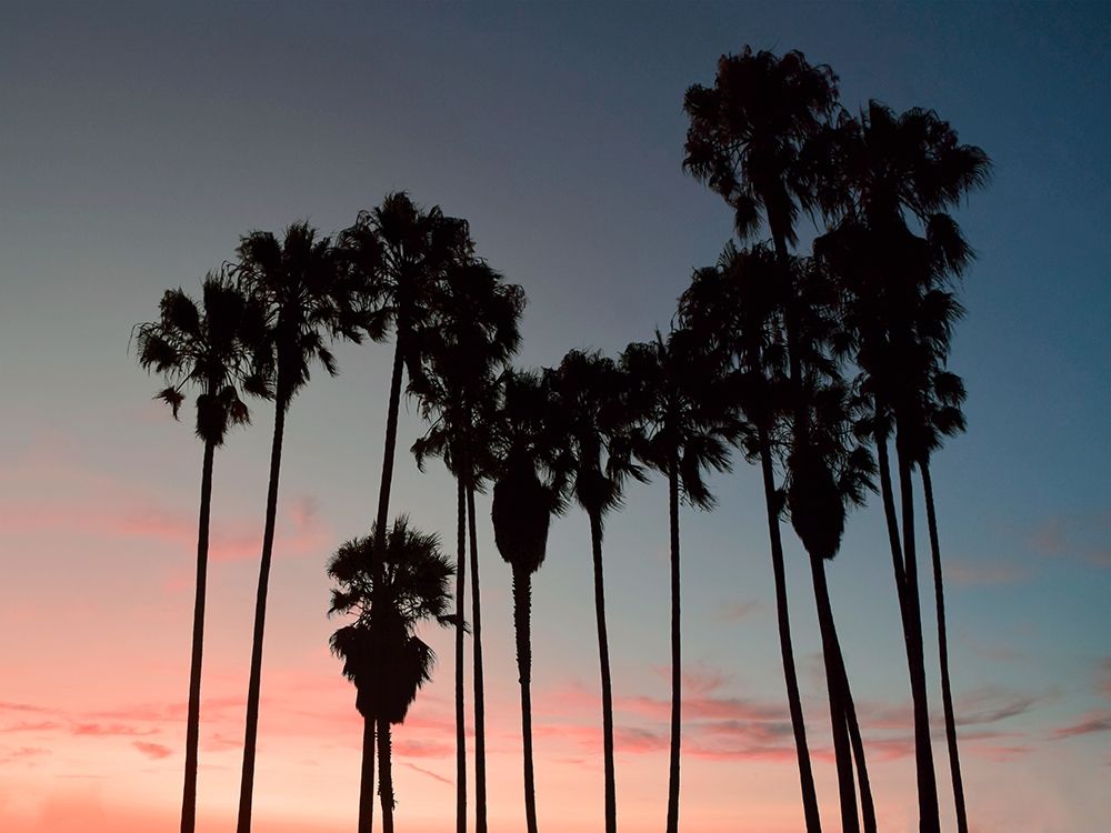 Venice Beach art print by Natalie Carpentieri for $57.95 CAD