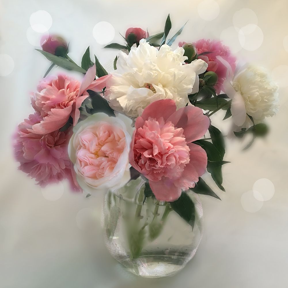 Peony Magic I art print by Nan for $57.95 CAD