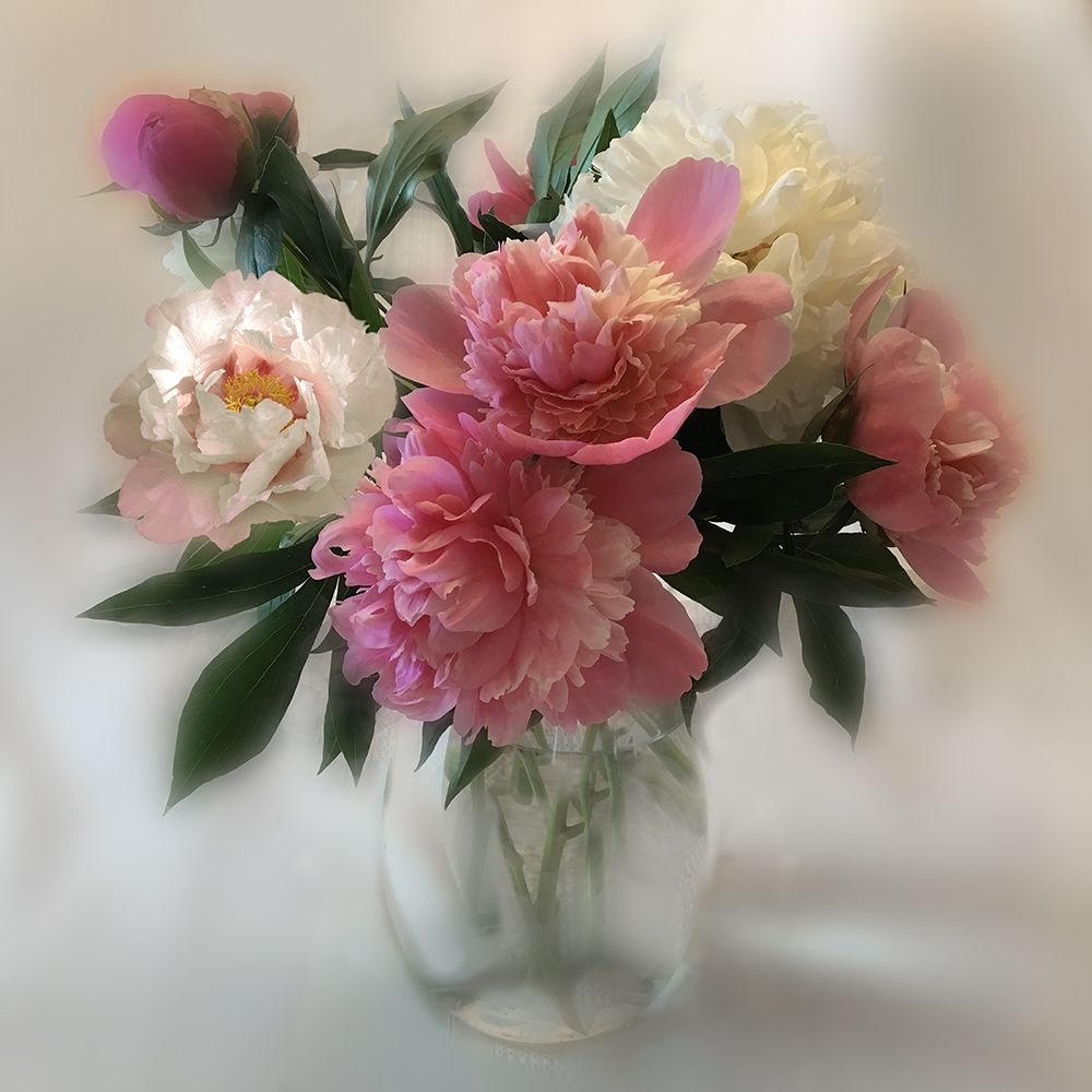 Peony Magic II art print by Nan for $57.95 CAD