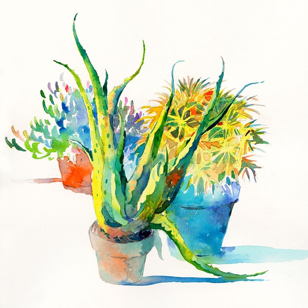 Succulent Trio I art print by Theresa Troise Heidel for $57.95 CAD