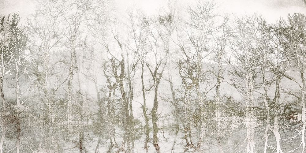 Shimmering Trees art print by Irene Weisz for $57.95 CAD