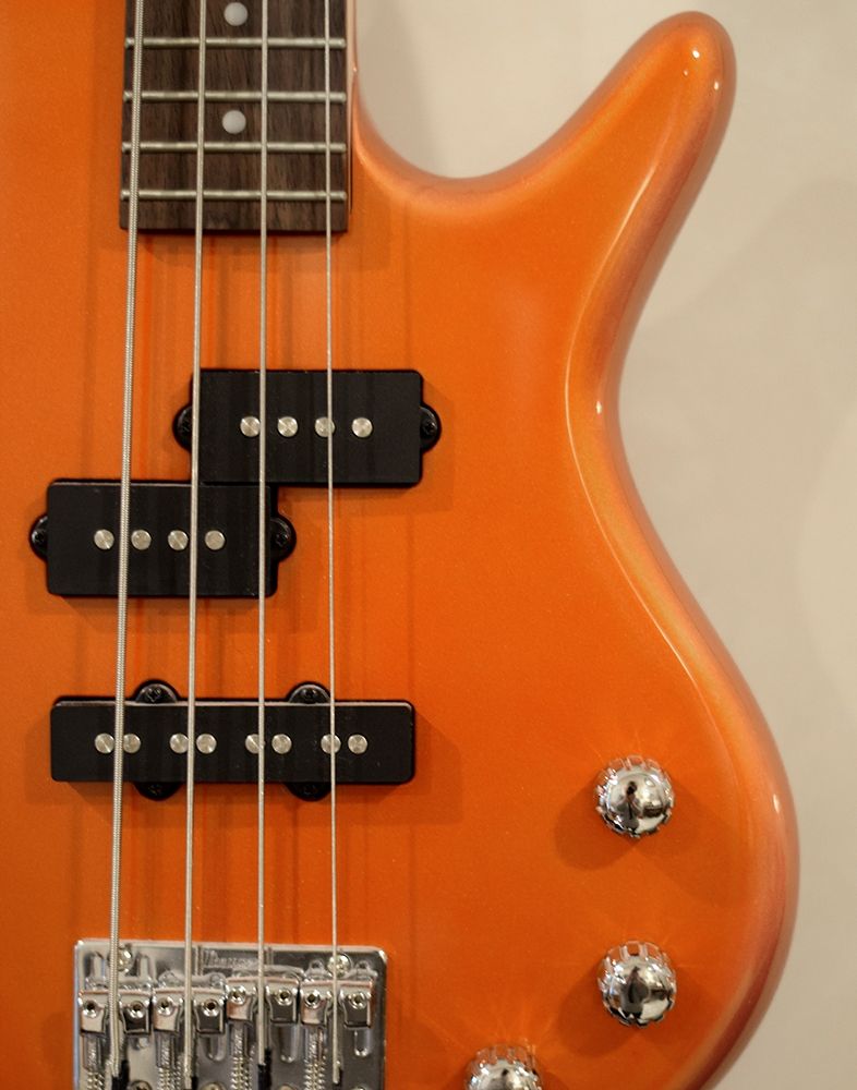 Bass art print by Katrina Craven for $57.95 CAD