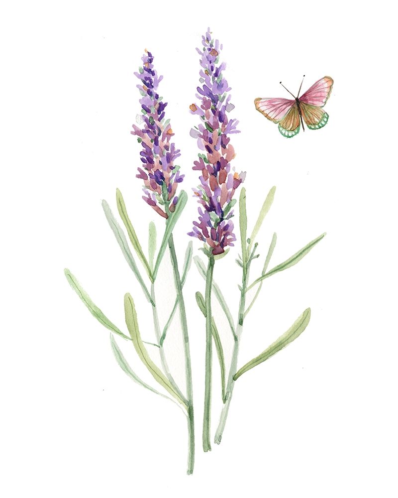 Wildflower Botanical I art print by Carol Robinson for $57.95 CAD