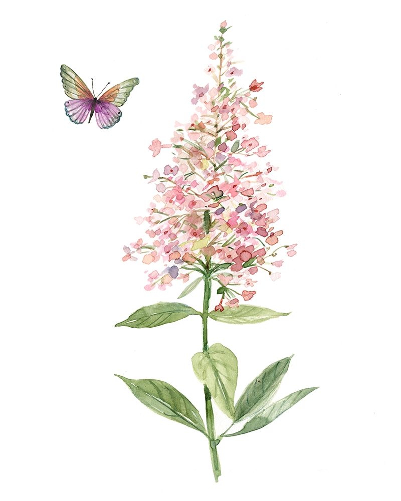Wildflower Botanical II art print by Carol Robinson for $57.95 CAD
