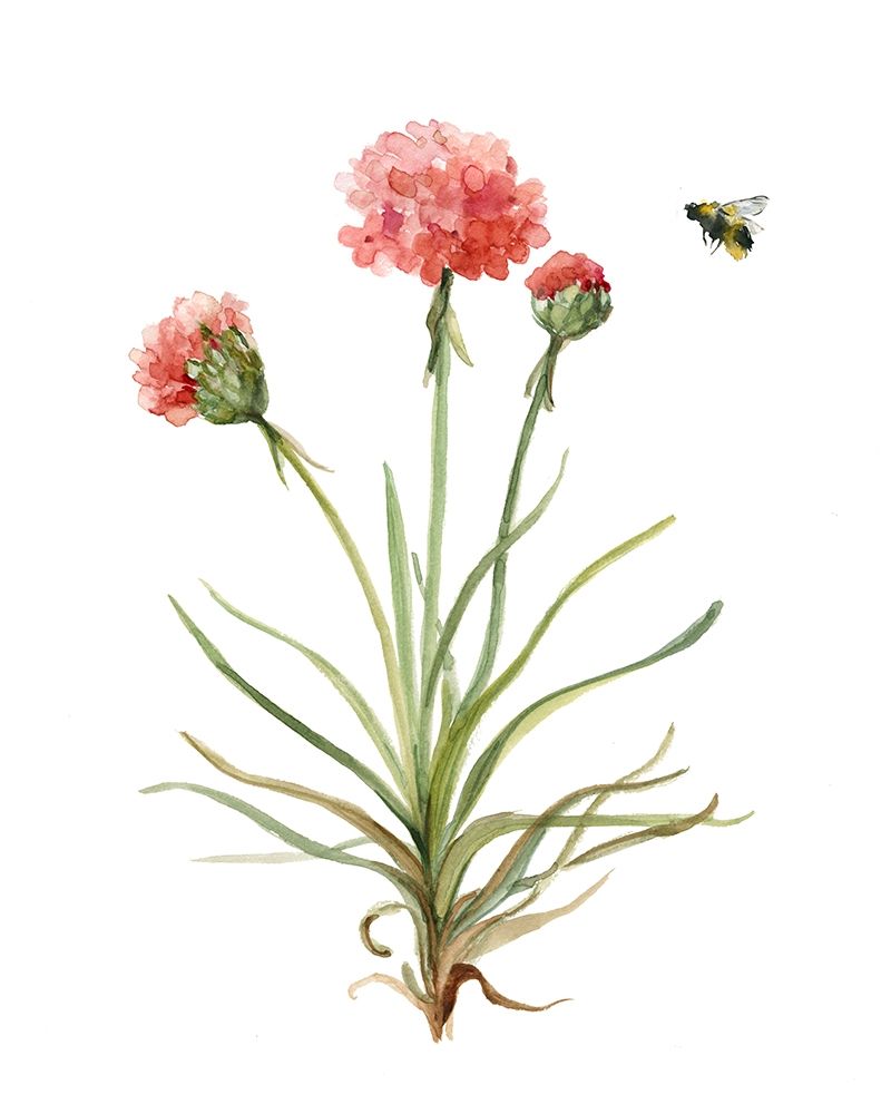 Wildflower Botanical III art print by Carol Robinson for $57.95 CAD