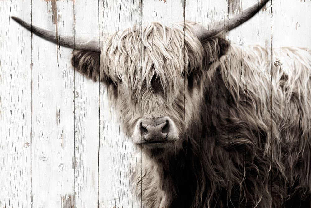Highland Prize art print by Jay Sturdevant for $57.95 CAD