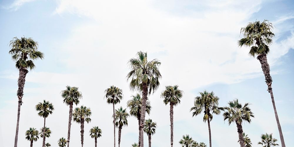 Laguna Beach art print by Natalie Carpentieri for $57.95 CAD