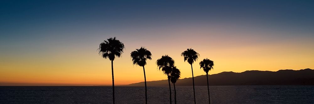 Dusk in Cali art print by Natalie Carpentieri for $57.95 CAD