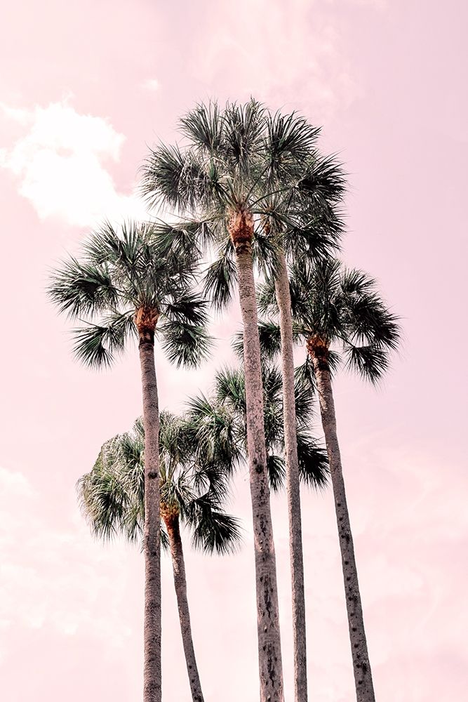 Pink Tropics art print by Natalie Carpentieri for $57.95 CAD