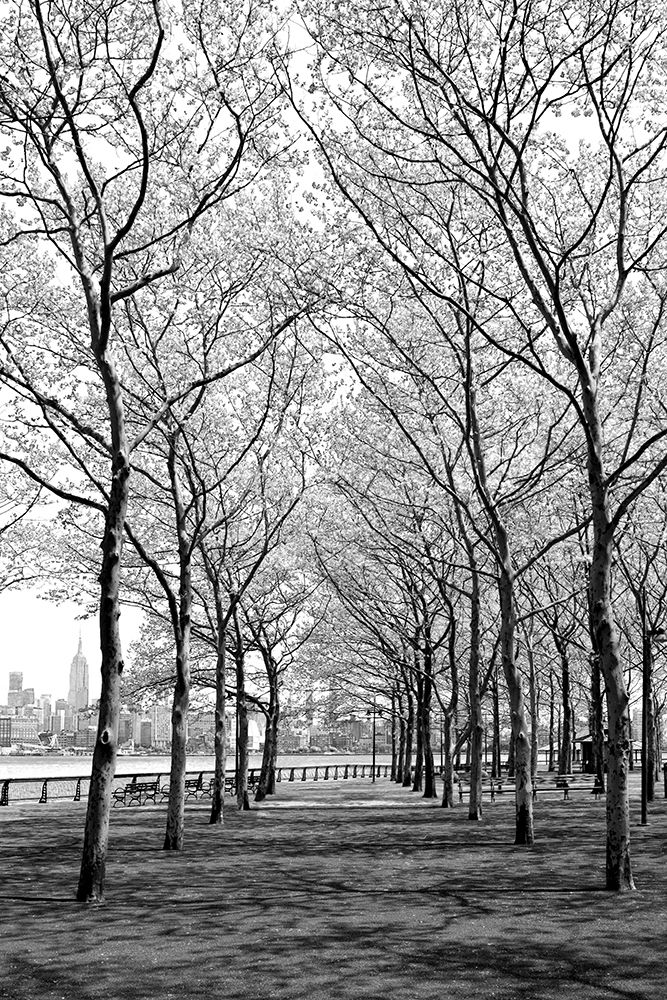 Pier a Park art print by Natalie Carpentieri for $57.95 CAD