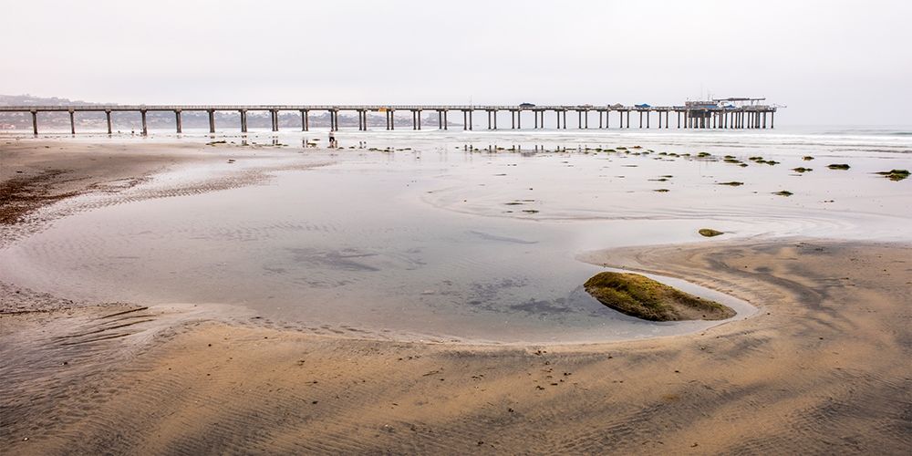 Scripps Pier art print by Peter Hawkins for $57.95 CAD