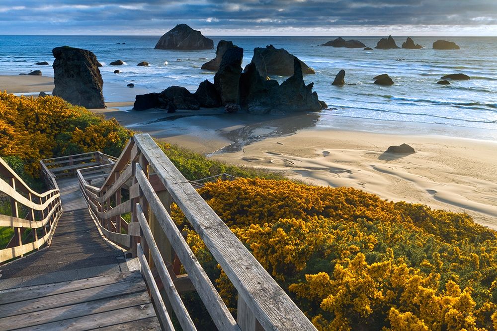 Brandon Beach art print by William Sutton for $57.95 CAD