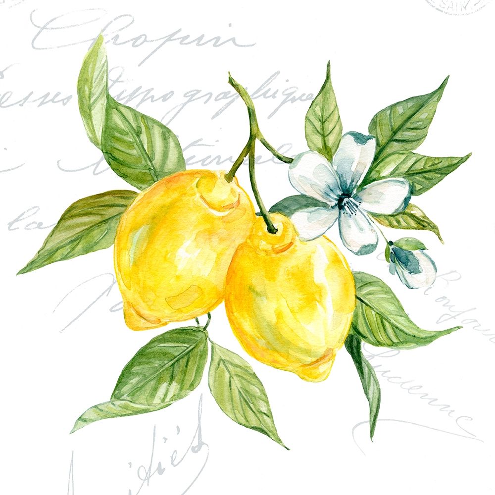 Lemon Squeeze I art print by Carol Robinson for $57.95 CAD