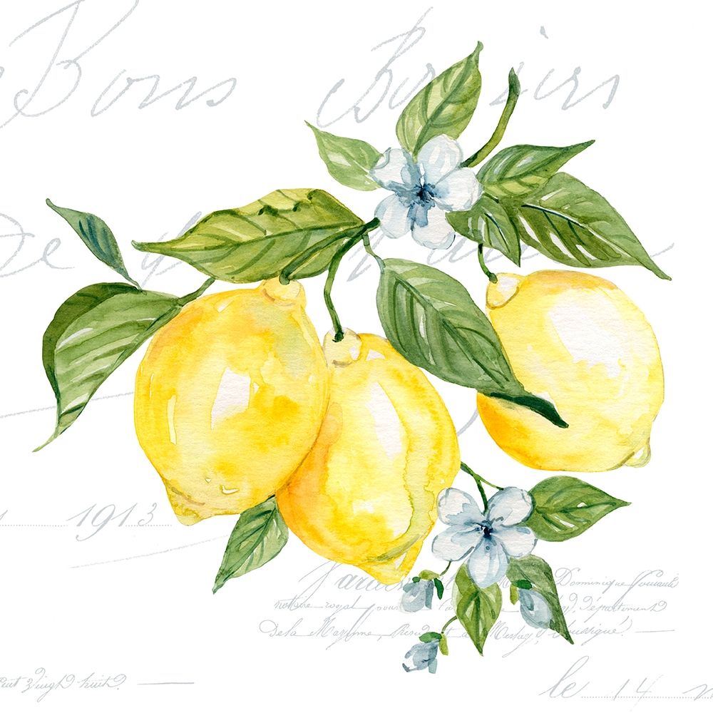Lemon Squeeze II art print by Carol Robinson for $57.95 CAD