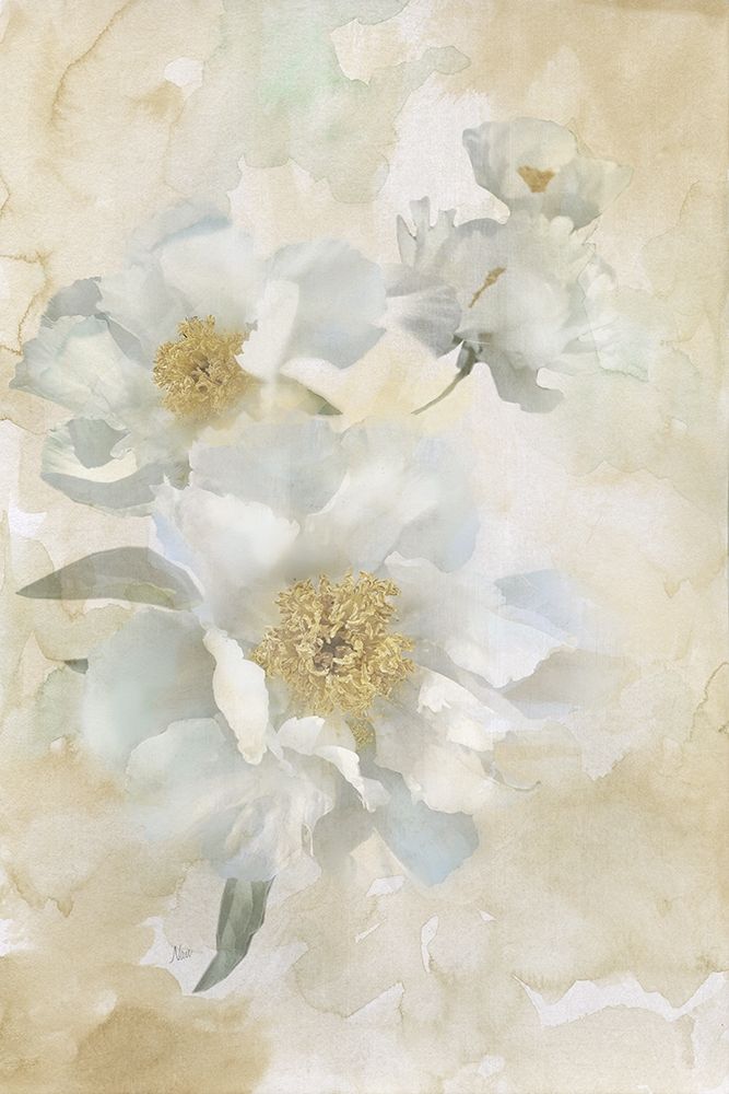 Soft Peonies I art print by Nan for $57.95 CAD