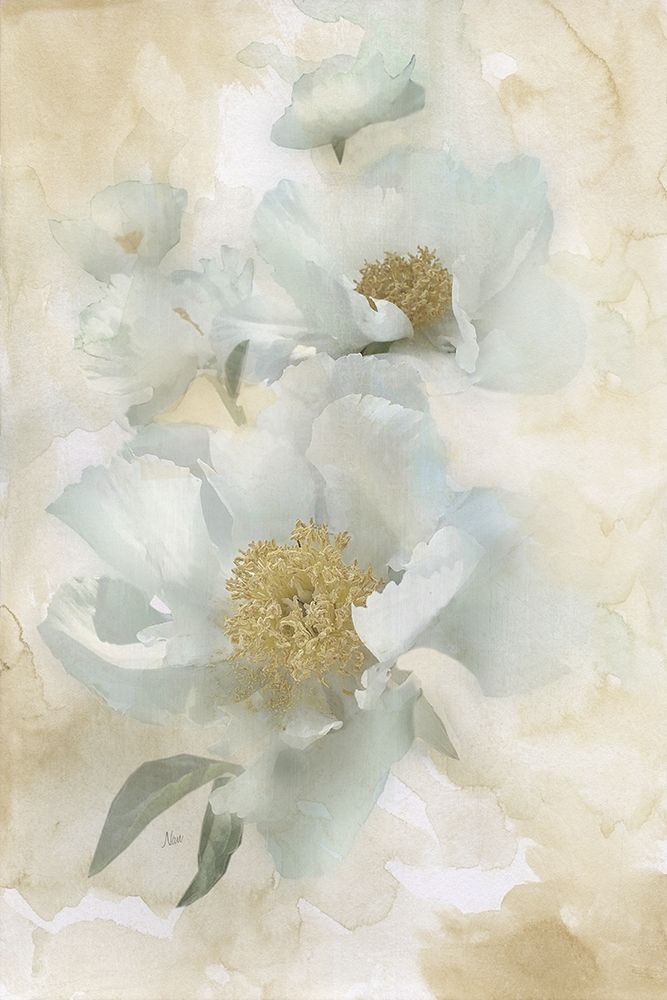 Soft Peonies II art print by Nan for $57.95 CAD