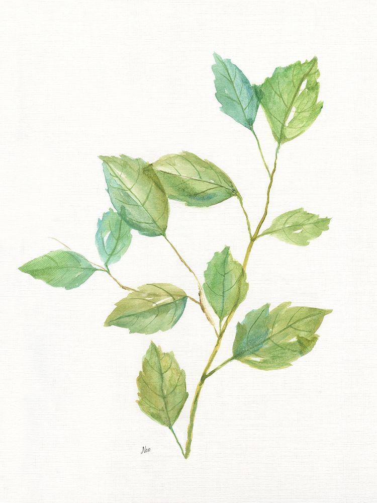 Spring Greens I art print by Nan for $57.95 CAD