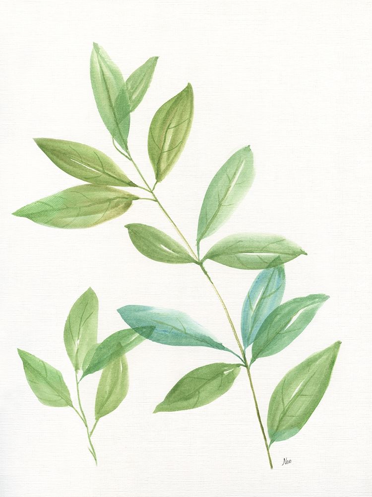Spring Greens II art print by Nan for $57.95 CAD