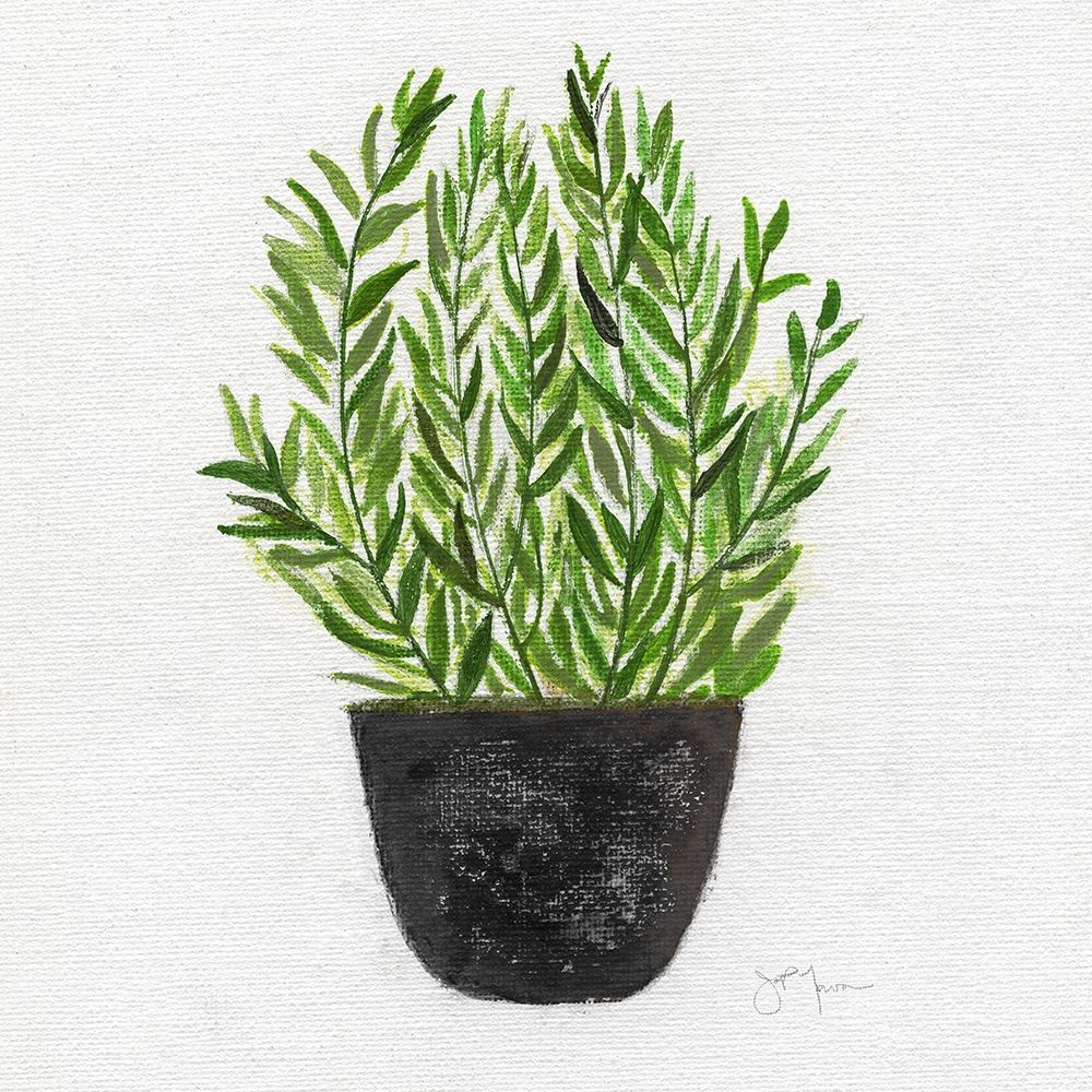 Herb Garden II art print by Tava Studios for $57.95 CAD