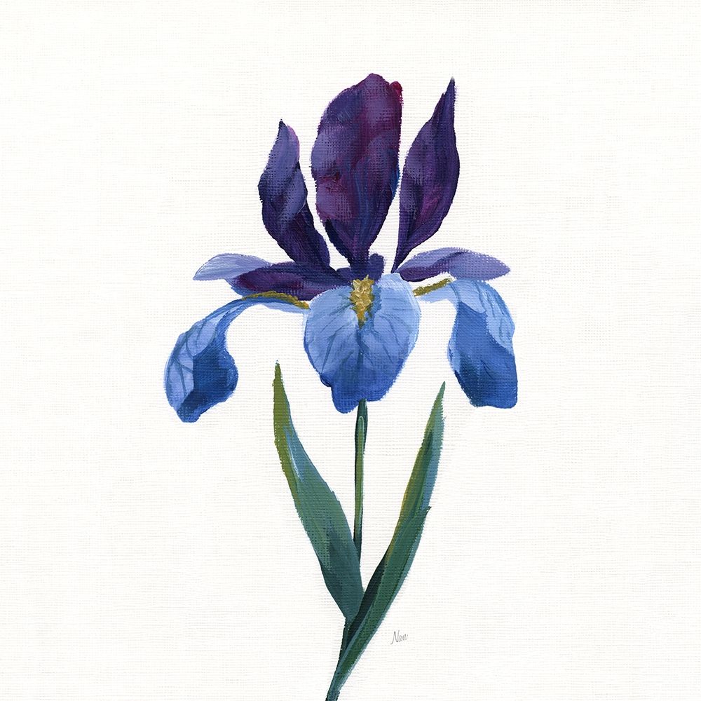 Simple Botanical II art print by Nan for $57.95 CAD