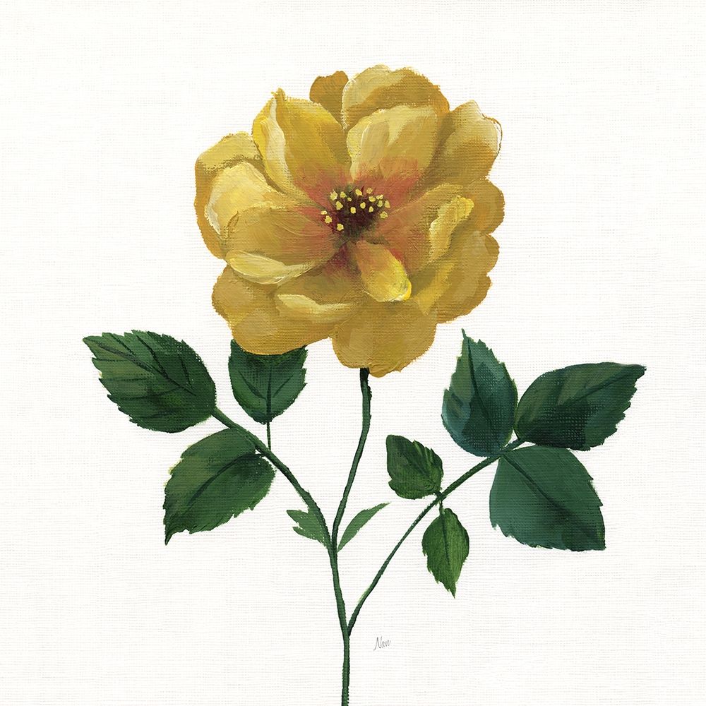 Simple Botanical III art print by Nan for $57.95 CAD