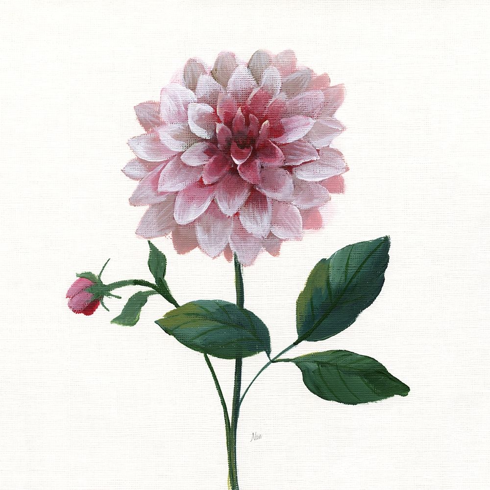Simple Botanical IV art print by Nan for $57.95 CAD