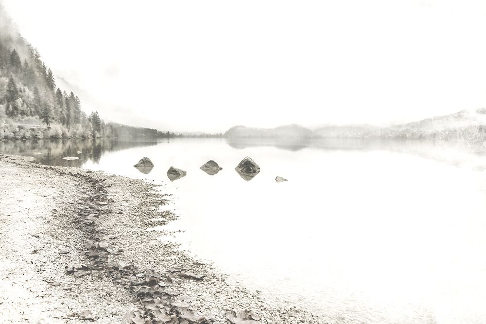 Taupe Lake Walk art print by Irene Weisz for $57.95 CAD