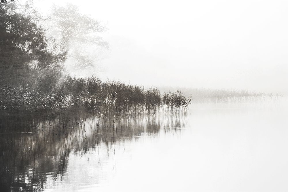 Taupe Misty art print by Irene Weisz for $57.95 CAD