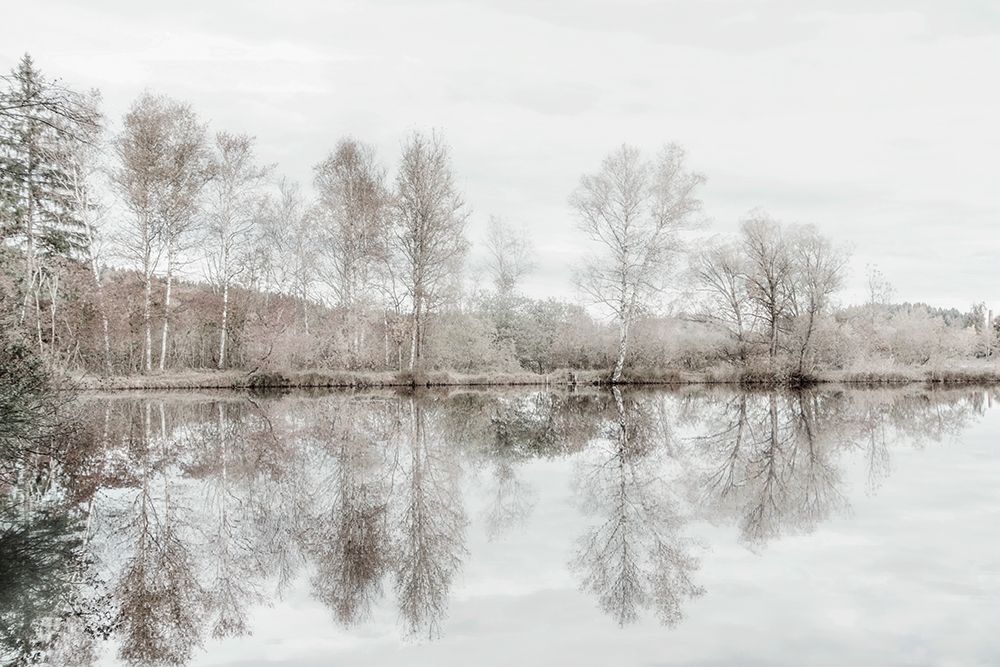 Taupe Water Mirror art print by Irene Weisz for $57.95 CAD