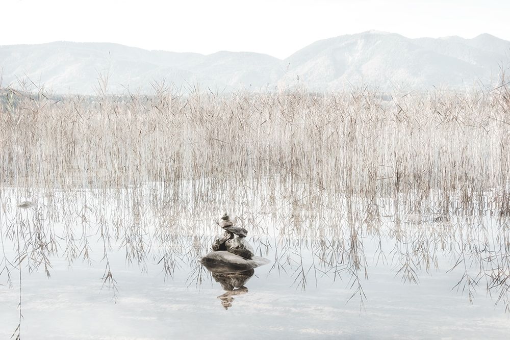 Taupe Zen art print by Irene Weisz for $57.95 CAD