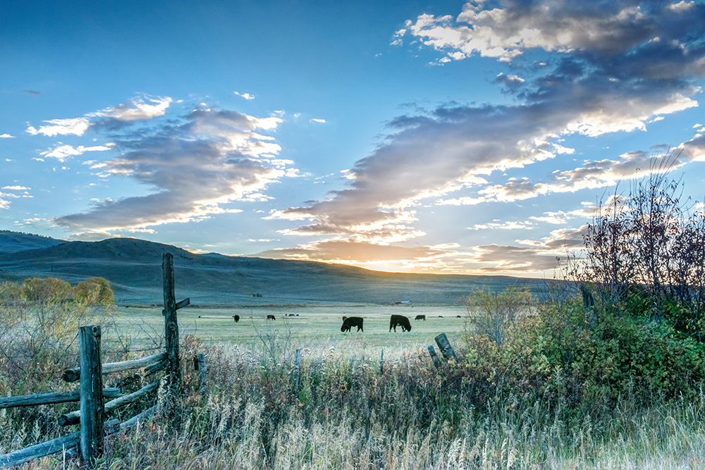 Ranch Sunrise art print by Danita Delimont for $57.95 CAD