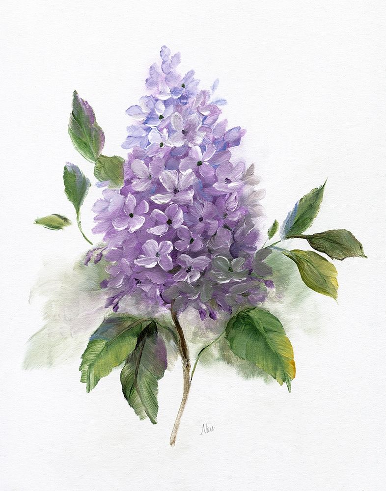 Lilac Romance I art print by Nan for $57.95 CAD
