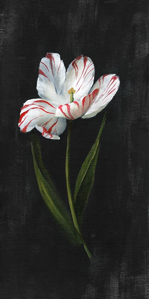 Master Botanical I art print by Nan for $57.95 CAD