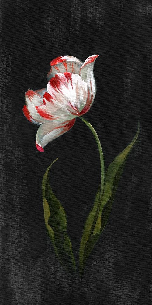 Master Botanical II art print by Nan for $57.95 CAD