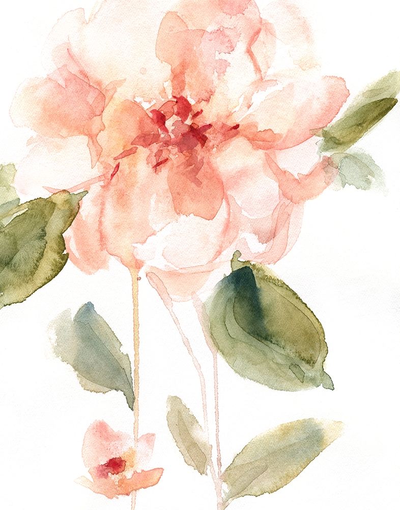 Single Perfect Bloom I art print by Carol Robinson for $57.95 CAD