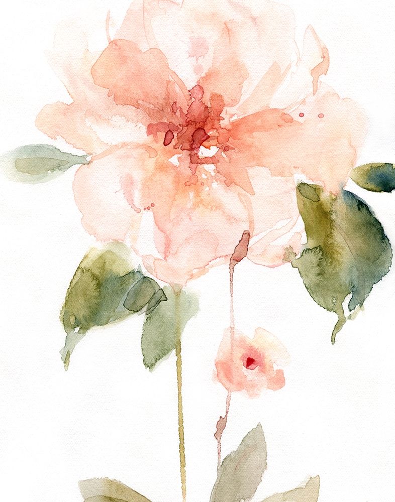 Single Perfect Bloom II art print by Carol Robinson for $57.95 CAD