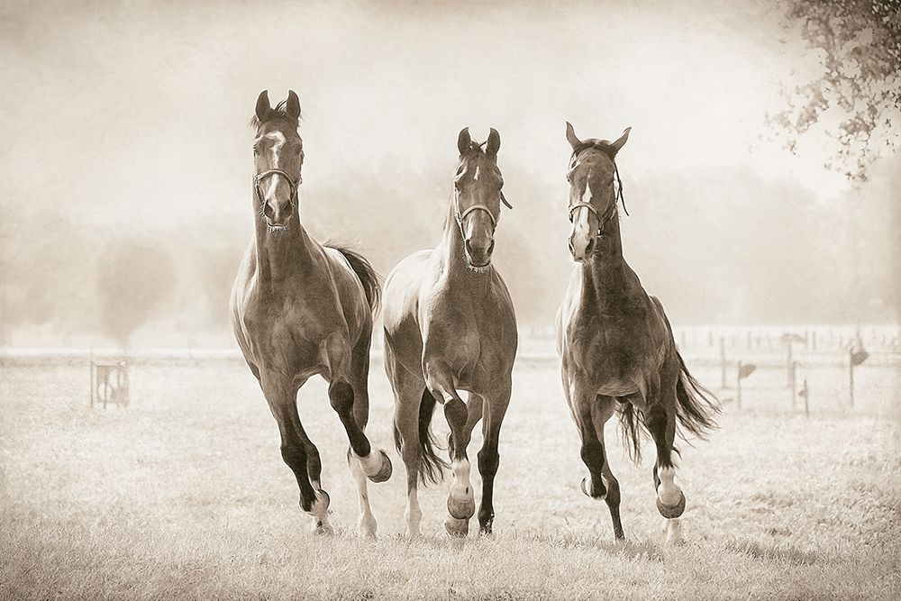 The Young Ones art print by Lars Van de Goor for $57.95 CAD