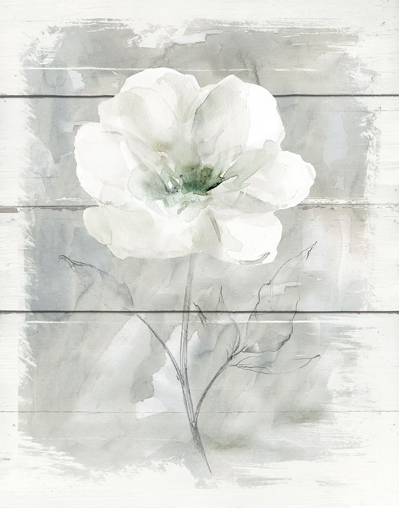 Farmhouse Rose I art print by Carol Robinson for $57.95 CAD