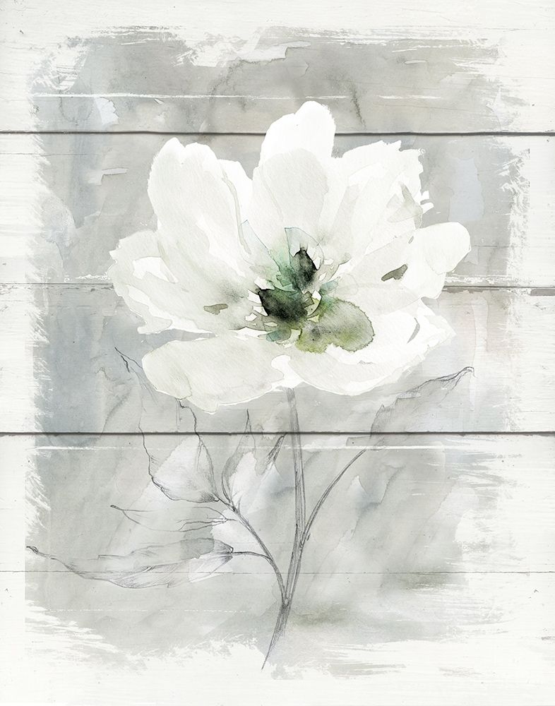 Farmhouse Rose II art print by Carol Robinson for $57.95 CAD