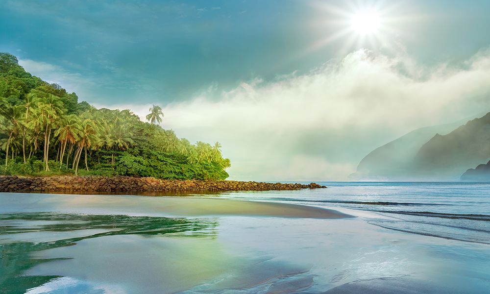 Jungle Meets the Sea art print by Mike Calascibetta for $57.95 CAD