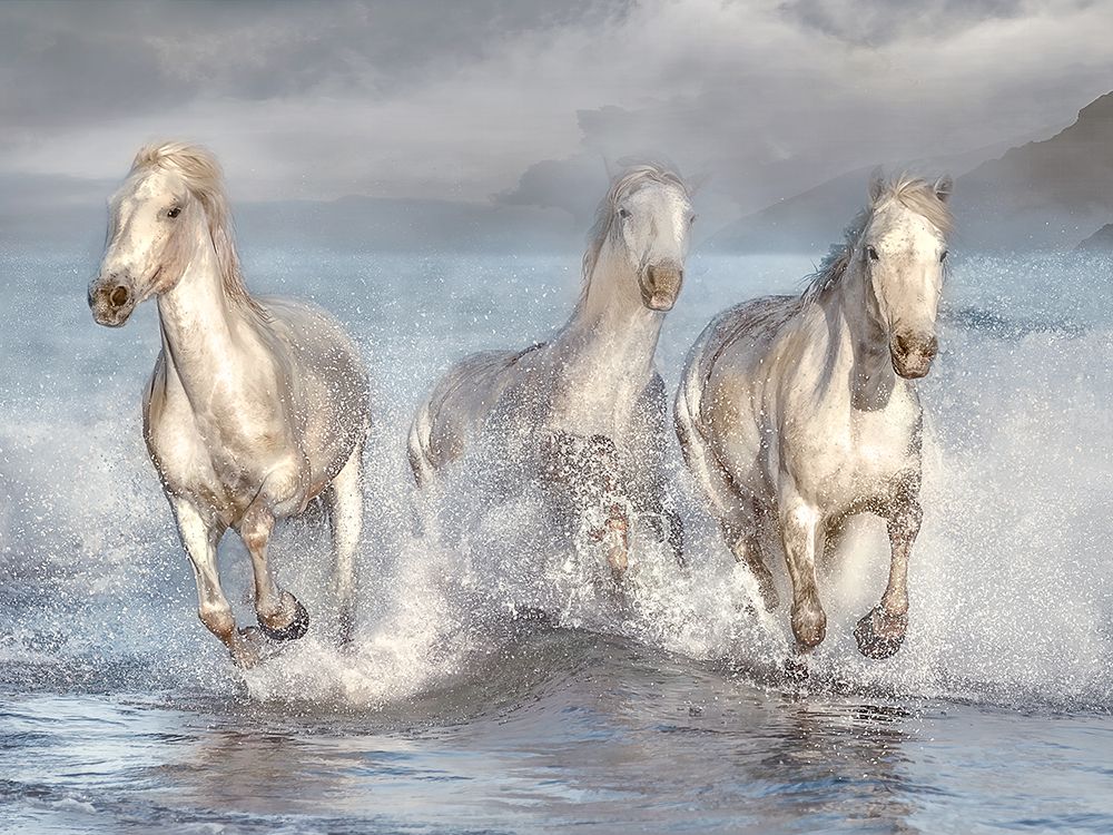 Running Wild art print by Mike Calascibetta for $57.95 CAD