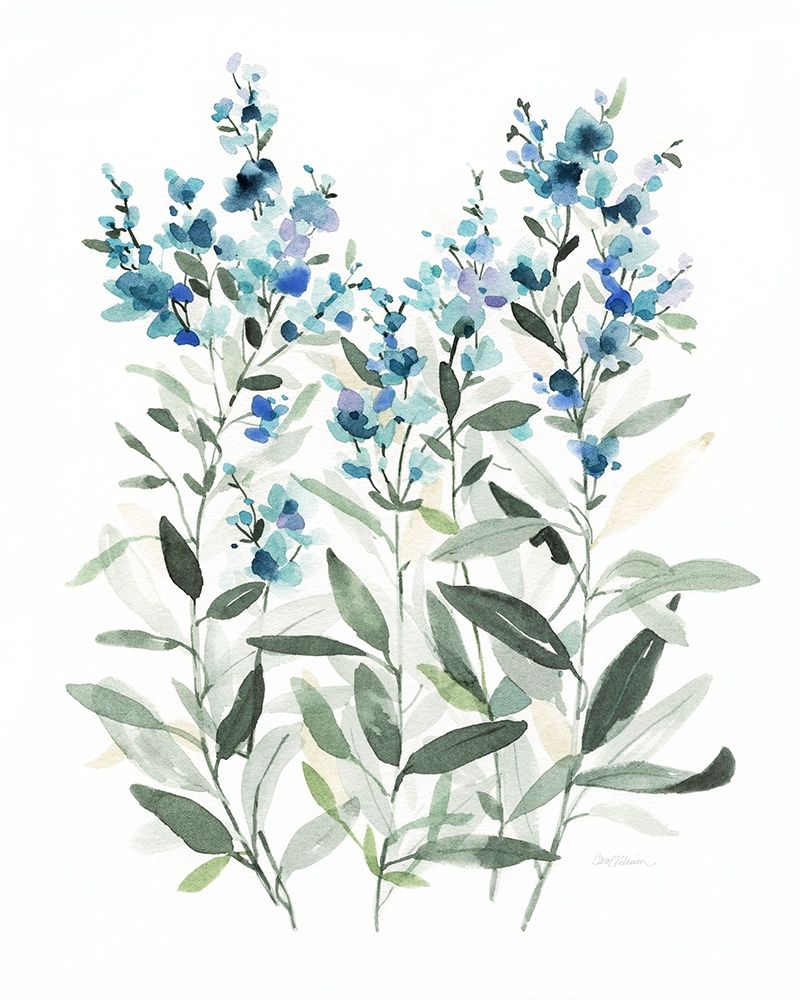 Delicate Blue Botanical II art print by Carol Robinson for $57.95 CAD