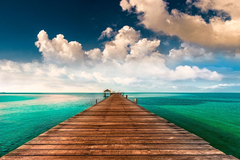 Tropic Blues art print by Mike Calascibetta for $57.95 CAD